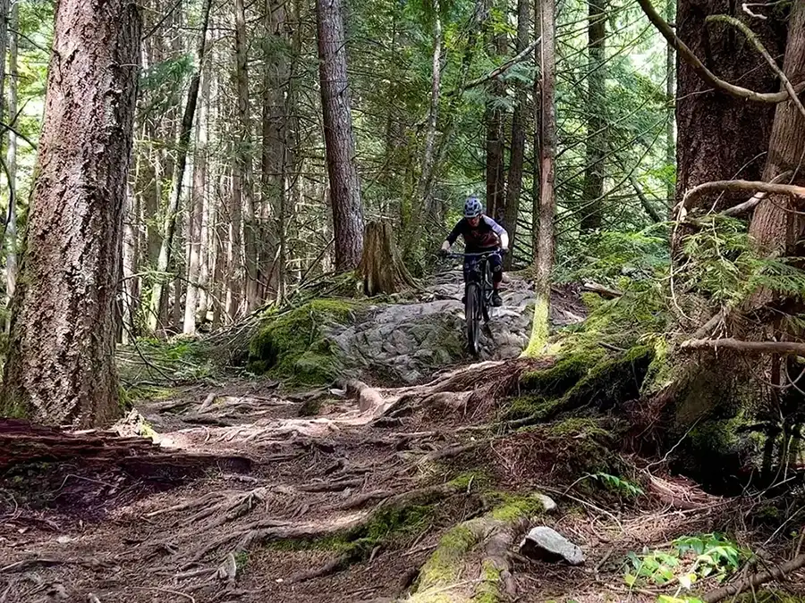 スキーヤーの僕がなぜウィスラーでMTBをはじめたのか — ウィスラーでのMTBの始め方