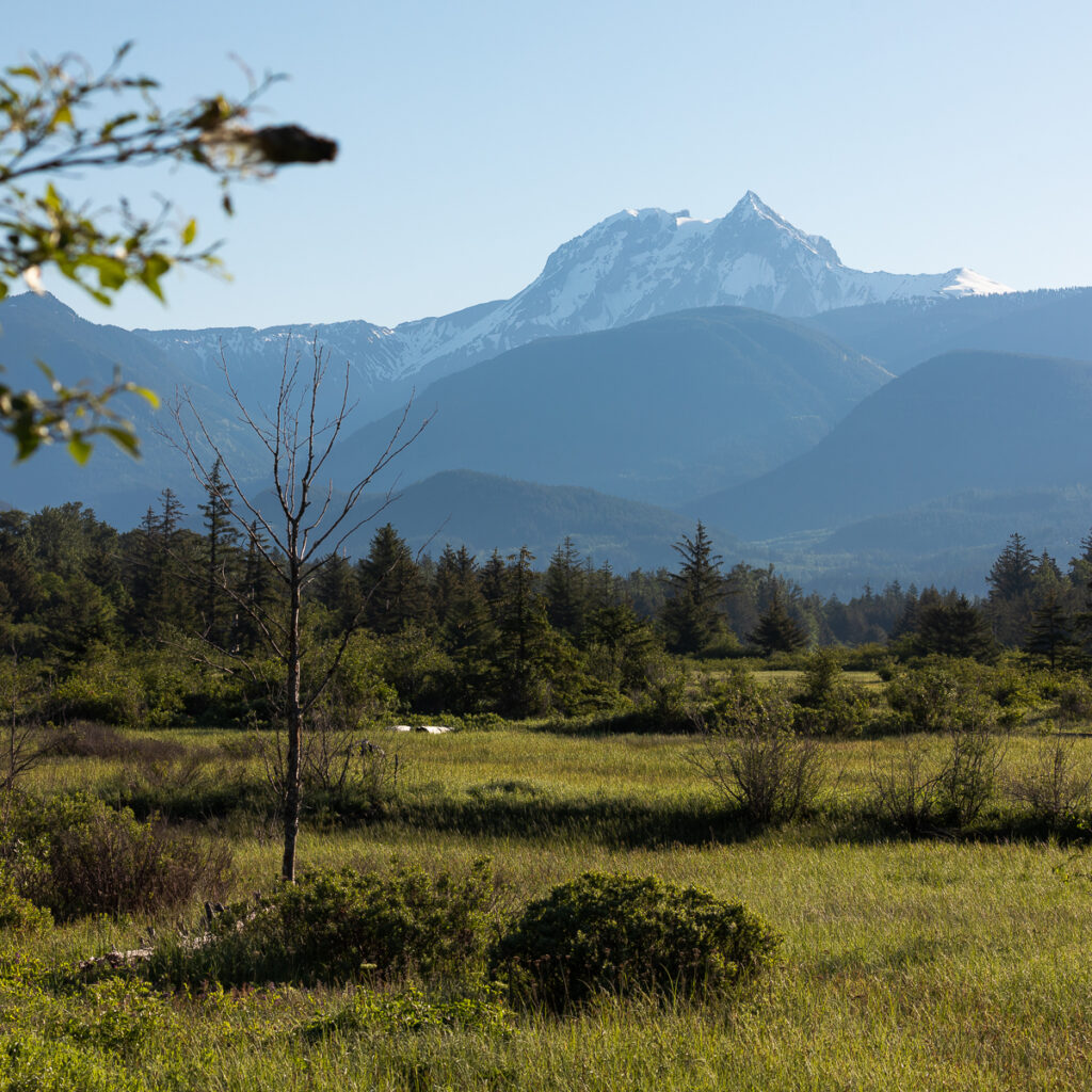 Atwell peak from Squamish Estuary
