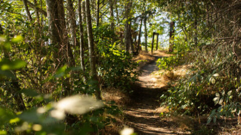 スコーミッシュでクライミングの気分転換、雨の日はスピットで散歩。| Let’s take a walk at the Spit
