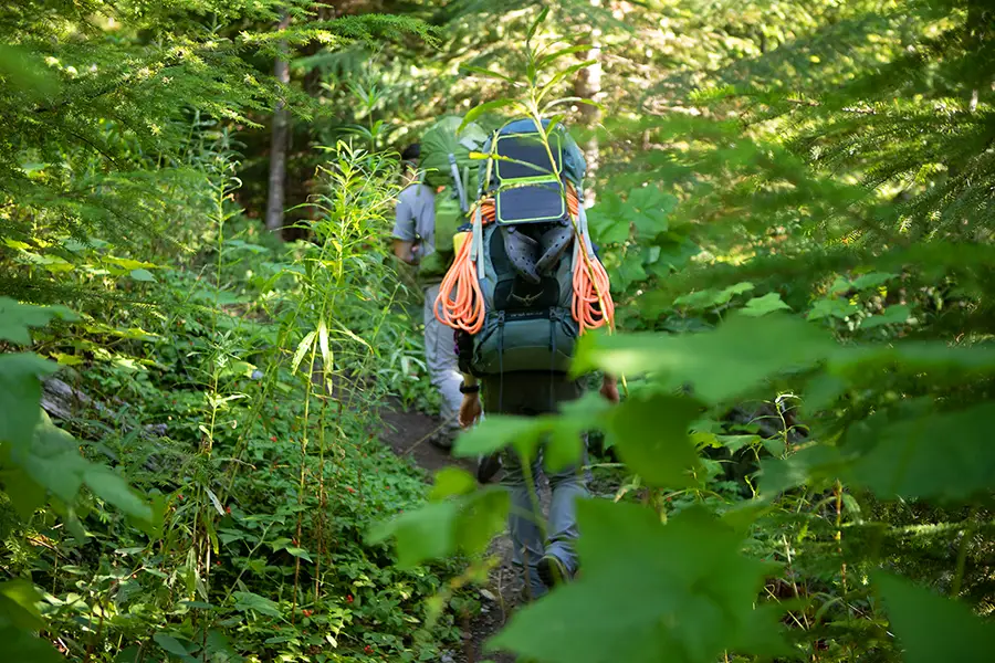 Wedgemount Trail head