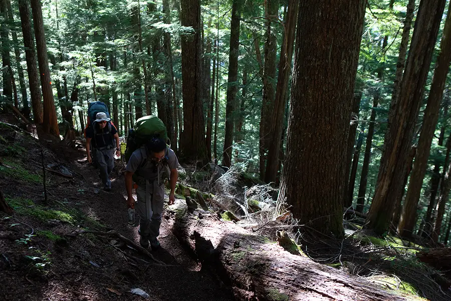 Steep Mountain Trail
