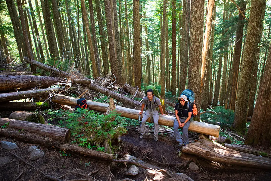 Wedgemont Lake Trail