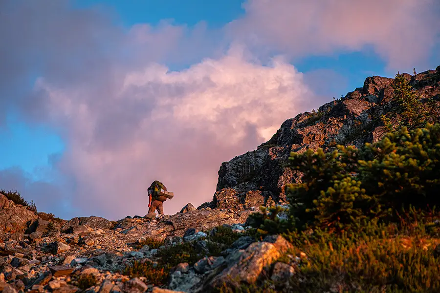 a hiker walking in golden hour light