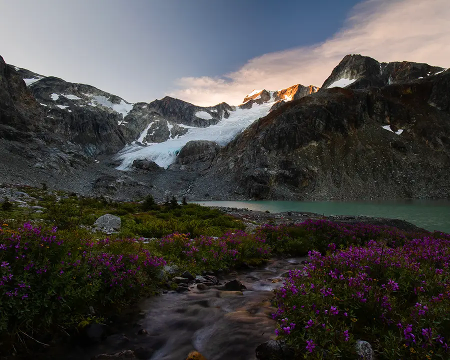 Alpine flowers and Alpine Lake